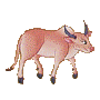 cow