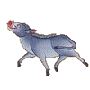 pig