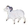 ram